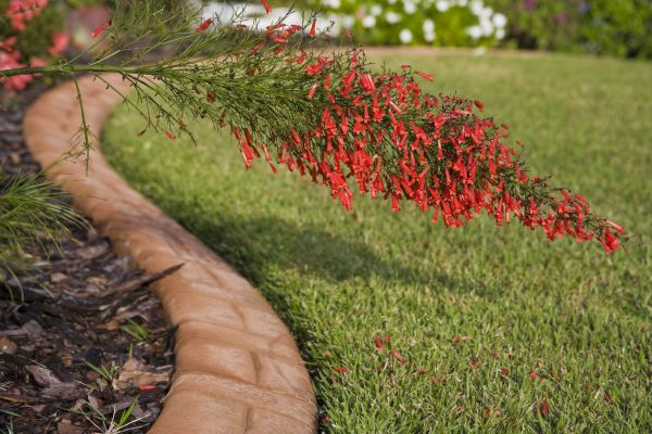 Brick Edging in Toms River